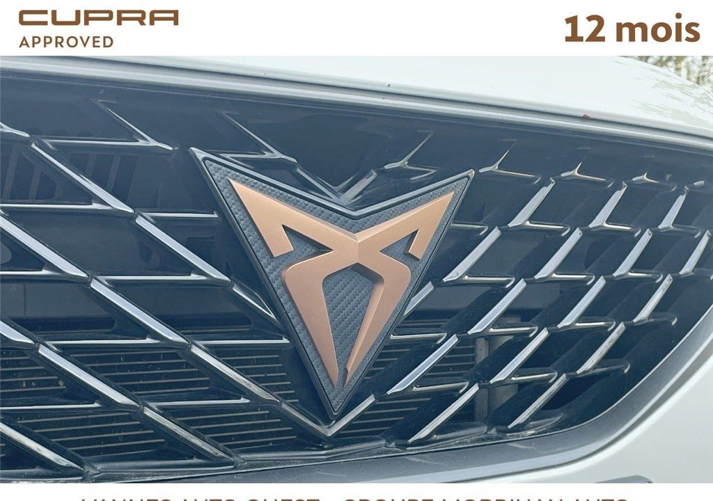 CUPRA FORMENTOR 2.0 TDI 150 CH