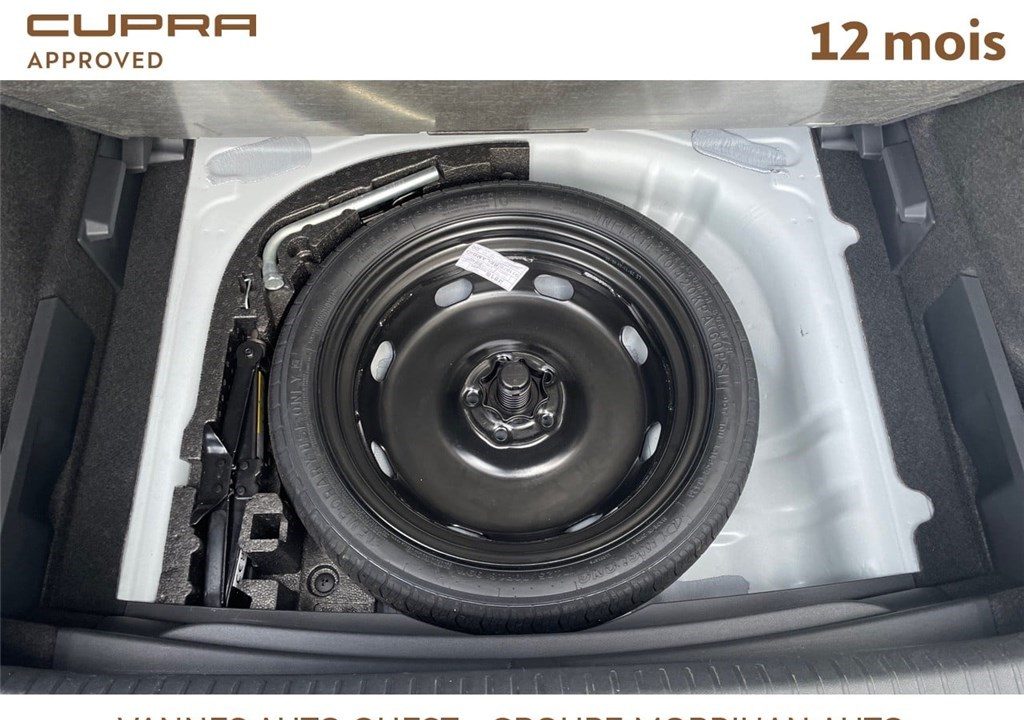 CUPRA FORMENTOR 2.0 TDI 150 CH