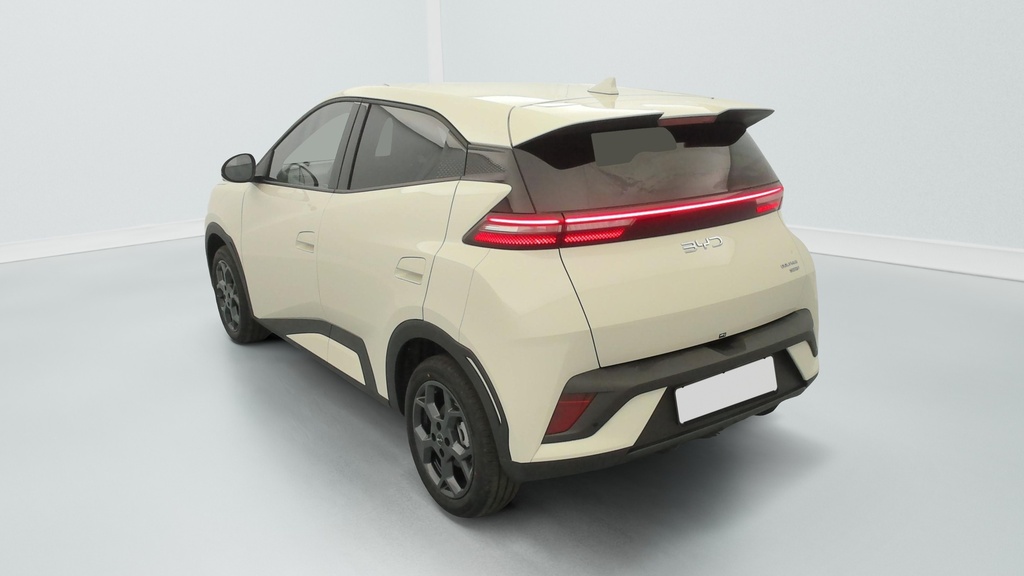 Byd DOLPHIN SURF 43.2 kWh 156 ch Comfort
