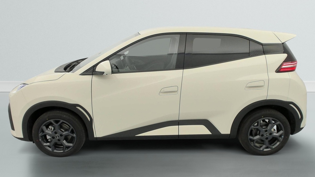 Byd DOLPHIN SURF 43.2 kWh 156 ch Comfort