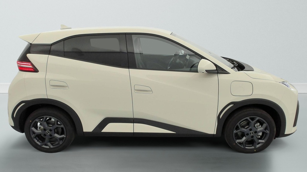 Byd DOLPHIN SURF 43.2 kWh 156 ch Comfort
