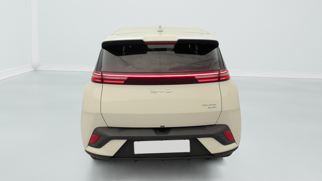 Byd DOLPHIN SURF 43.2 kWh 156 ch Comfort