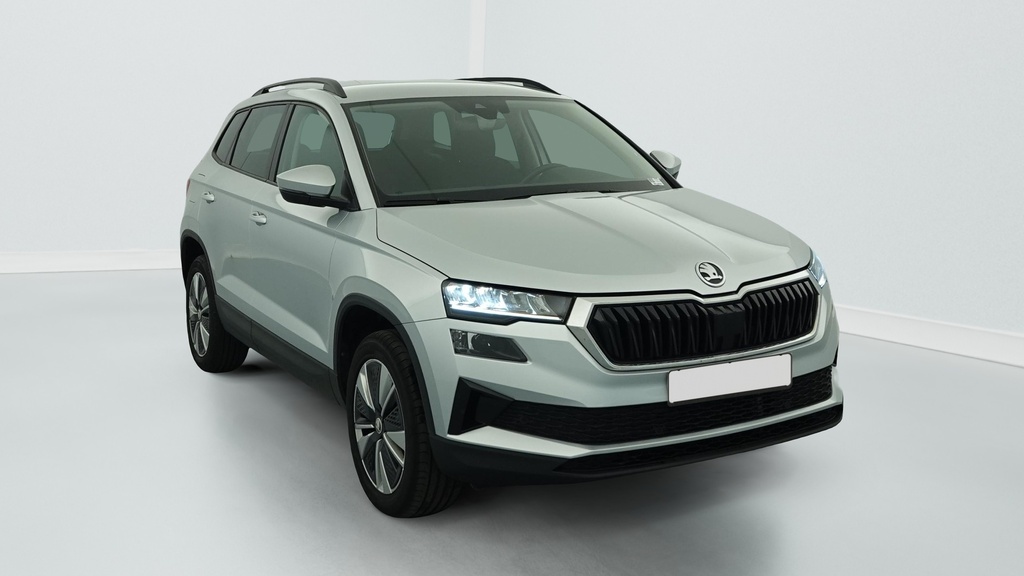 Skoda Karoq 2.0 TDI 116 ch SCR DSG7 Business