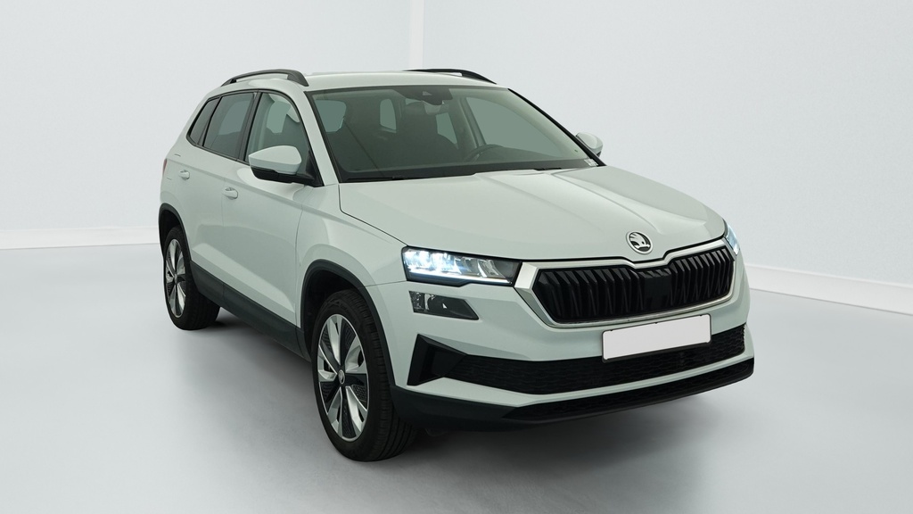 Skoda Karoq 2.0 TDI 116 ch SCR DSG7 Business