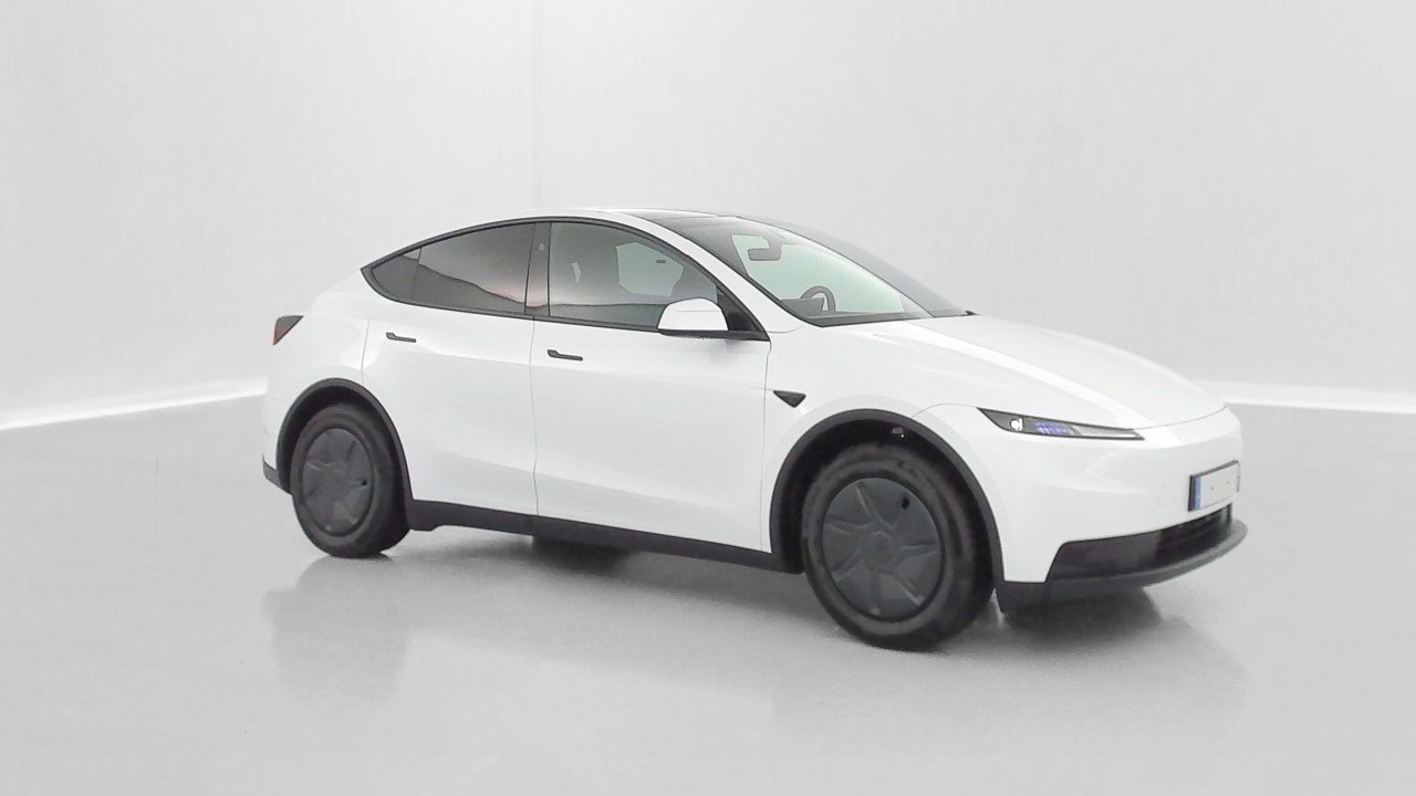 Tesla MODEL Y Standard Propulsion (534km)