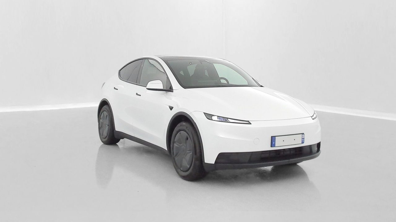 Tesla MODEL Y Standard Propulsion (534km)